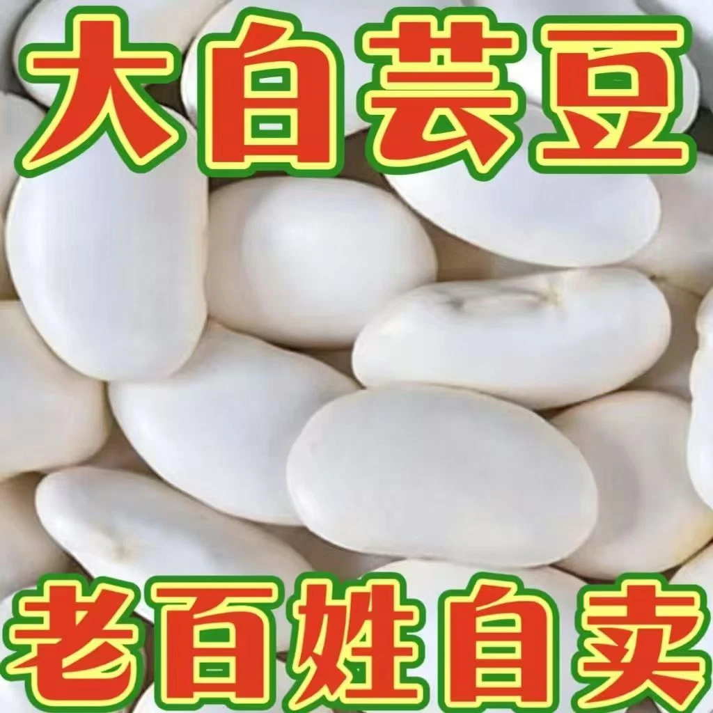 【农户直销】白芸豆精选大白豆雪豆炖汤大白云豆干货新货批发价