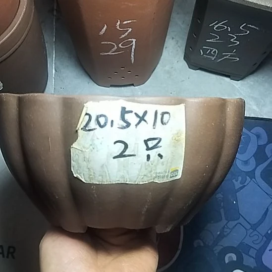 南瓜两个紫砂花盆