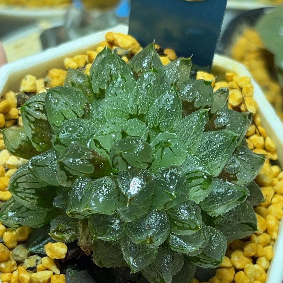 恭喜发财大吉大利0414