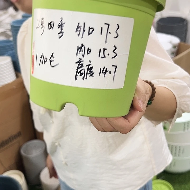 特价2号四季盆口17高14.5混色无托10只