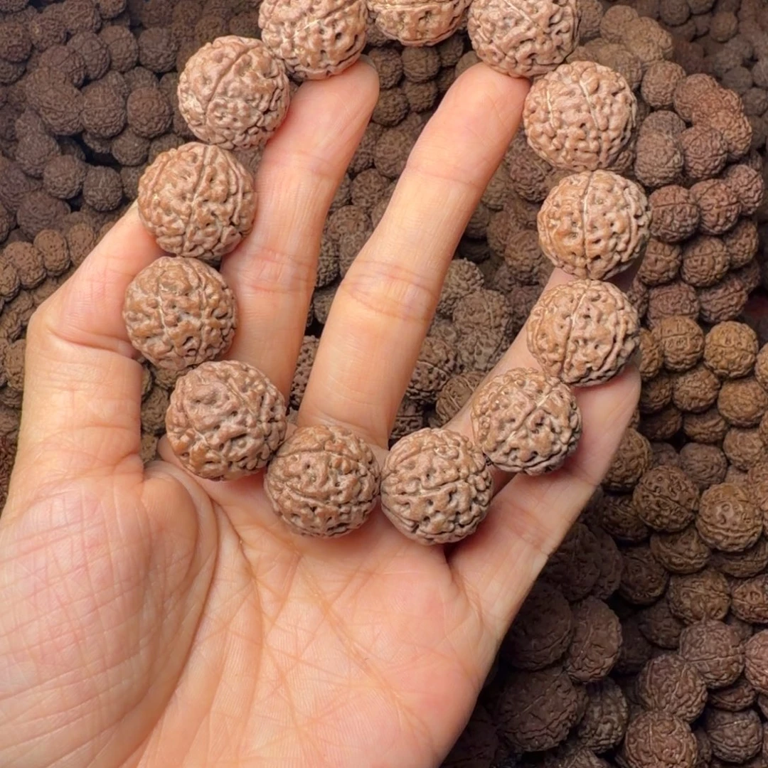 手串金刚菩提7瓣卡19尺，11号，