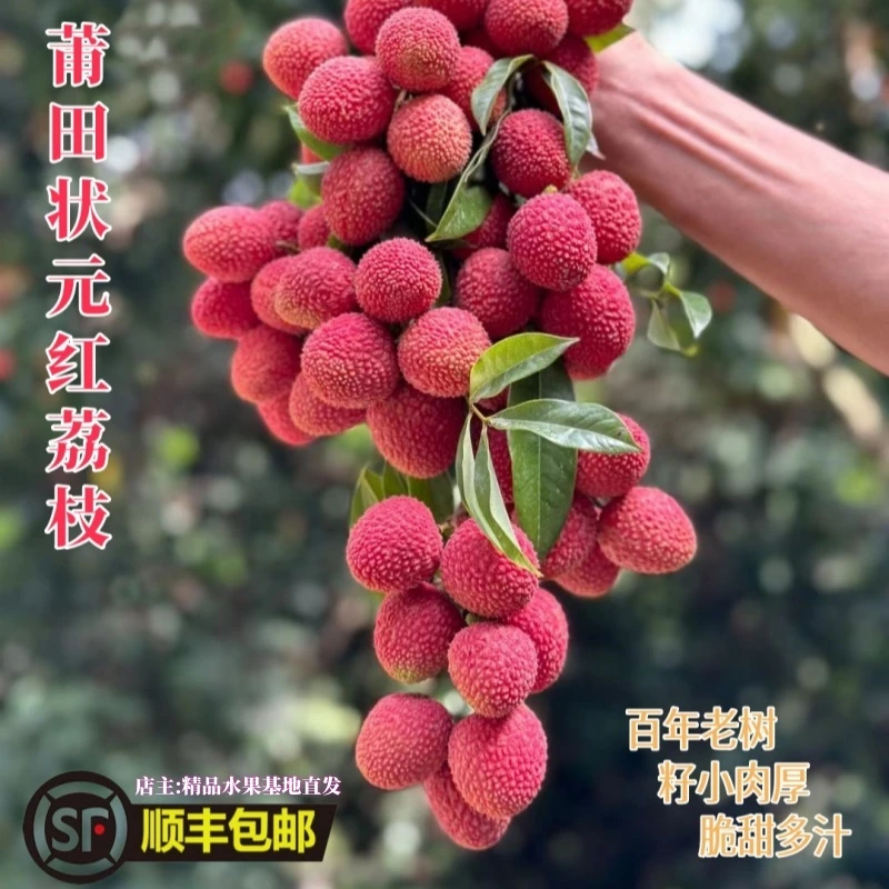 莆田荔枝状元红小籽荔枝百年老树新鲜采摘当天发货顺丰空运包邮