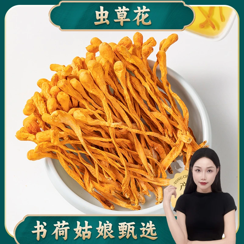 书荷姑娘虫草花250g/500g 内蒙北虫草花北金蛹虫草带百干