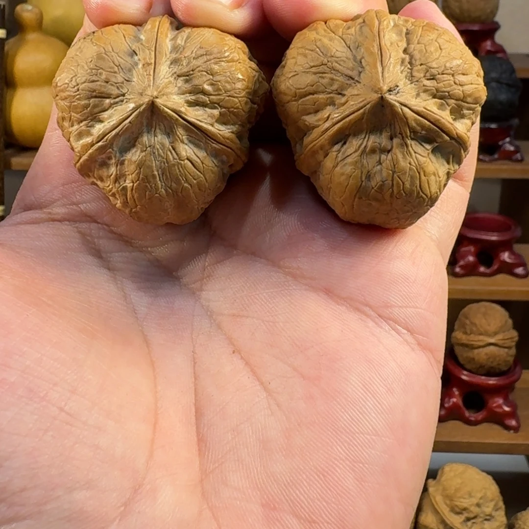 核桃铁核桃把件龙龟甲正奔三棱