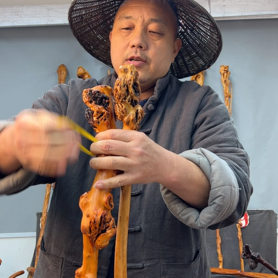 黑果木其他黑果木741