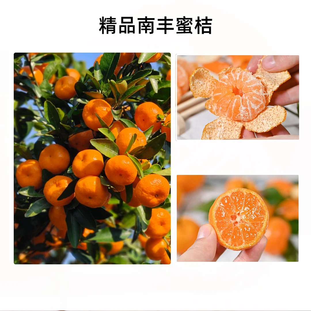 2025新采现摘南丰蜜桔皮薄汁多饭后解腻整箱包邮新鲜应季蜜广蜜桔