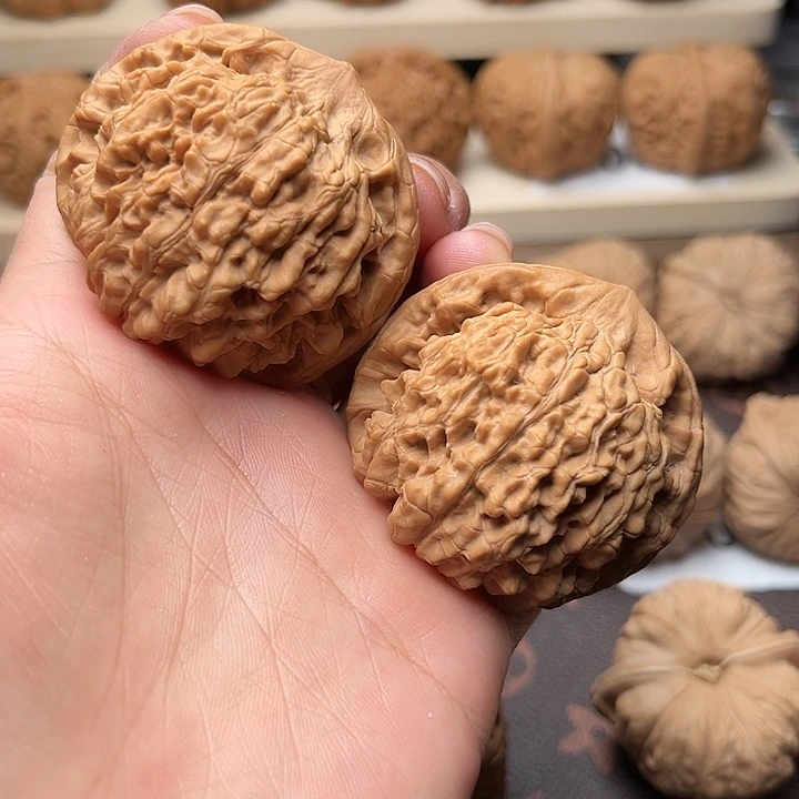 核桃47全品官帽福利对