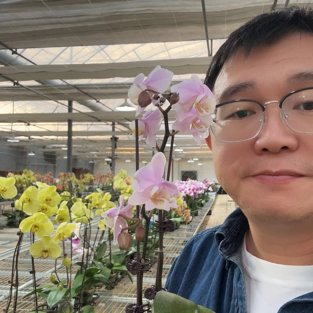 完全开放003 槟榔西施双剑带花苞