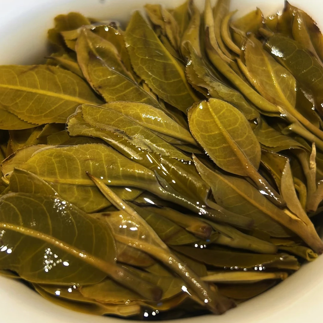 2025头春头採普洱茶乔木散茶，汤感细腻，汤香明显，口齿留香
