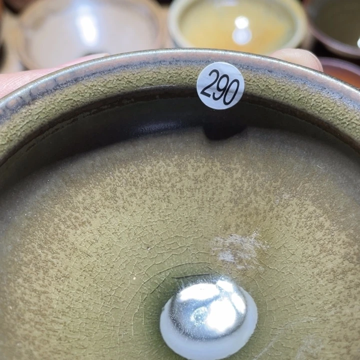 茶盏66666666666666