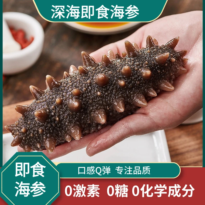 即食海参独立包装正宗辽刺参免泡发肉质劲道底播散养化冻即食