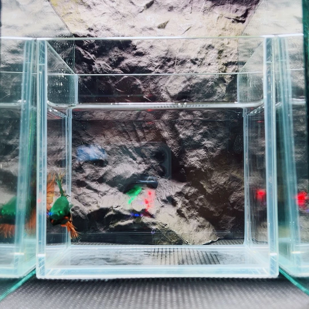 斗鱼精品精品精品精品