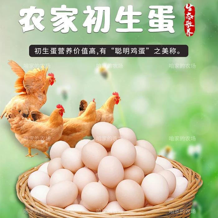 【初生蛋】正宗农家散养土鸡蛋初生蛋宝宝蛋月子蛋鸡蛋整箱批发