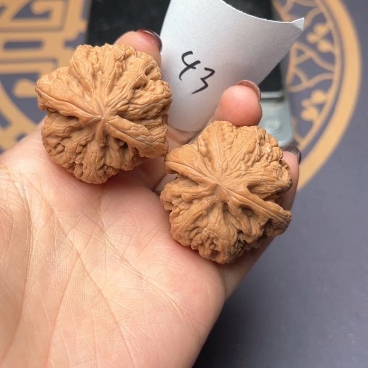 文玩核桃把件38大粗筋