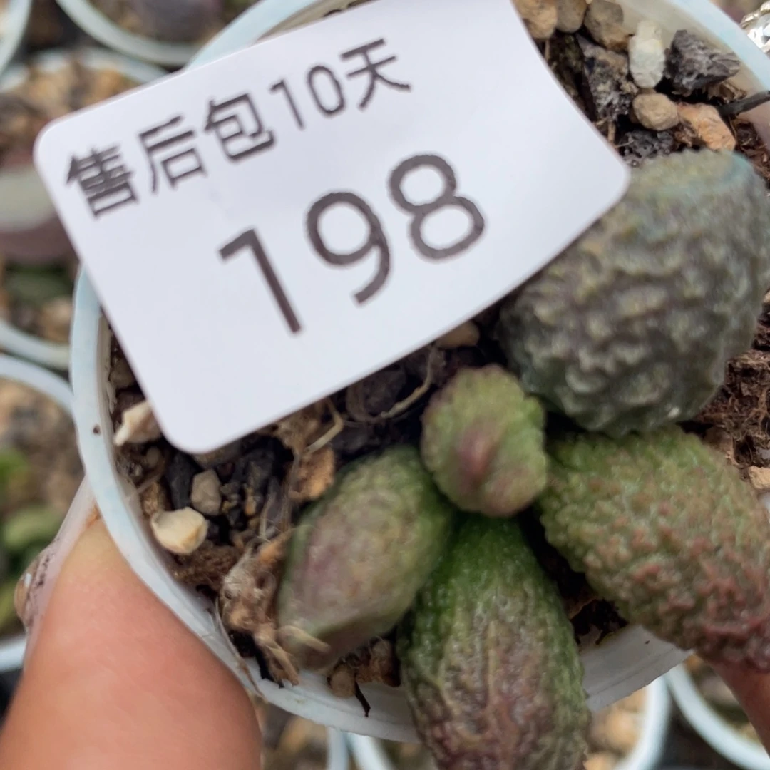 福利。  福利。