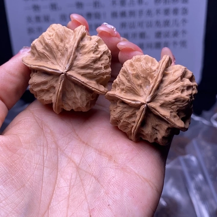 核桃云南野生铁核桃206号40mm