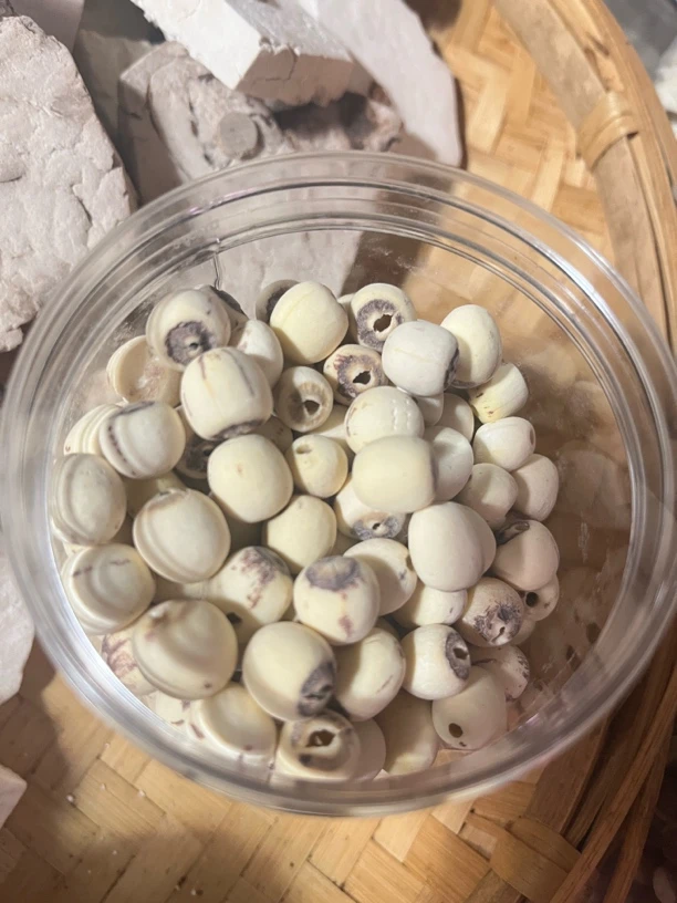 【云南山货】莲子