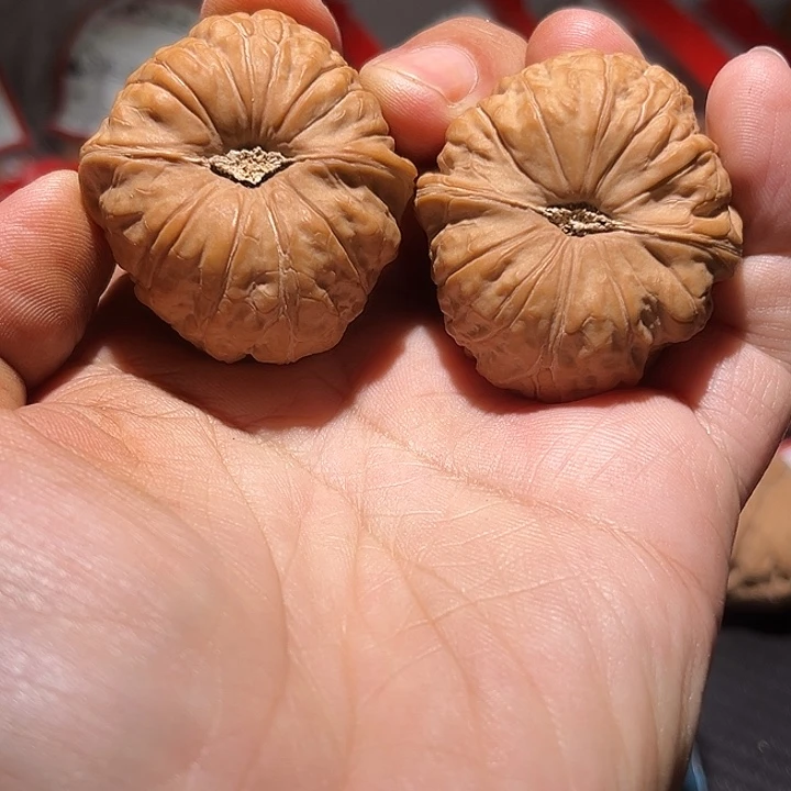 美***晨40全品南瓜墩福利价