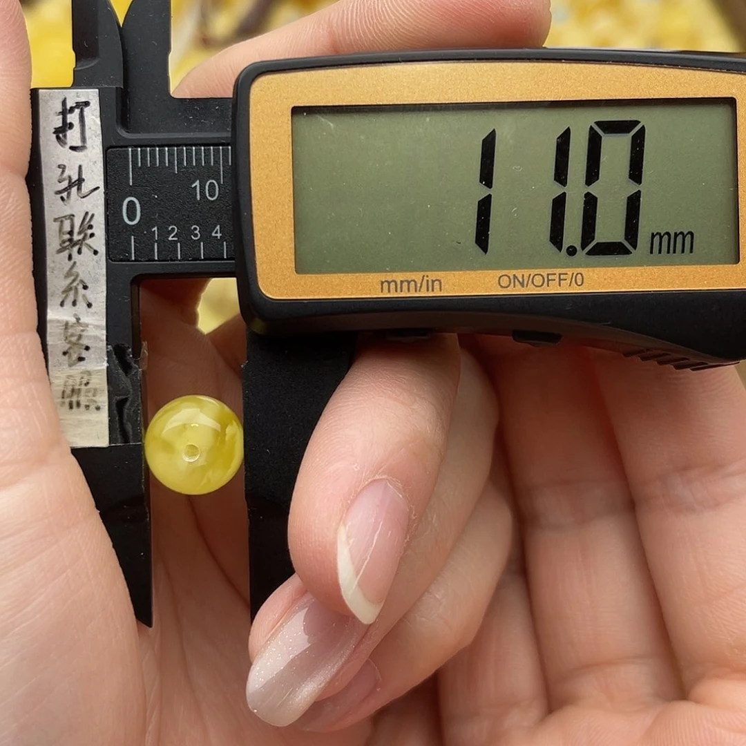 裸石琥珀未镶嵌蜜蜡老型鸽