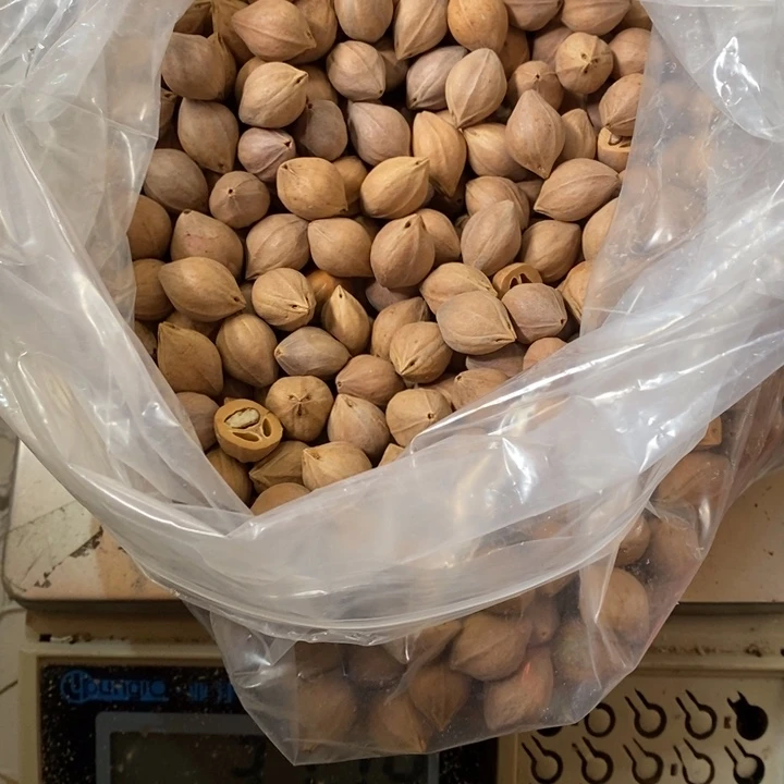 吊坠橄榄核﷽****람我們都市