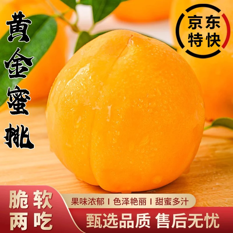 【黄金蜜桃毛桃】正宗蒙阴桃 现摘当天发明天到脆甜软硬两吃当季新鲜水果桃子山东省