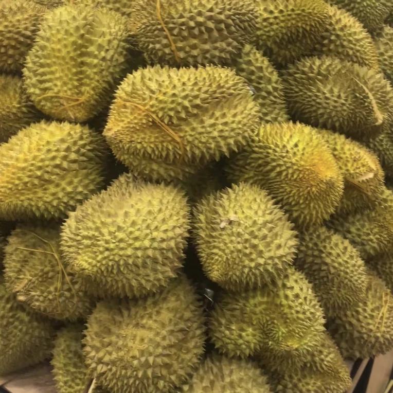 【1峨眉同城榴莲】金枕榴莲新核小新鲜果g泰国/越南金枕泰国越南