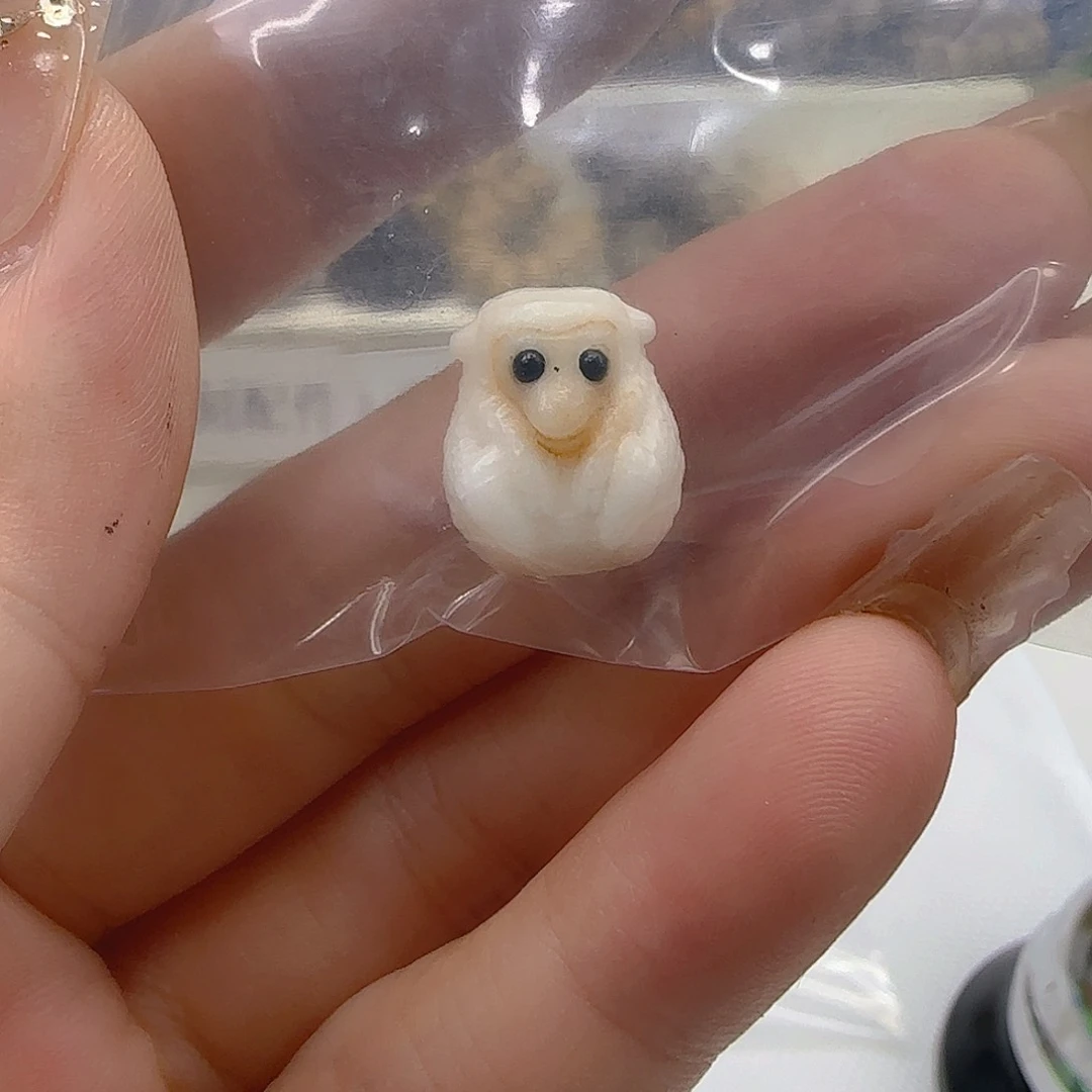 星月菩提手串20哈哈侯配饰