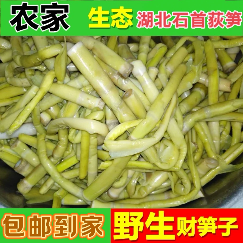 小袁回来啦湖北石首特产新鲜蔬菜农家野生财笋子菜笋火锅食材