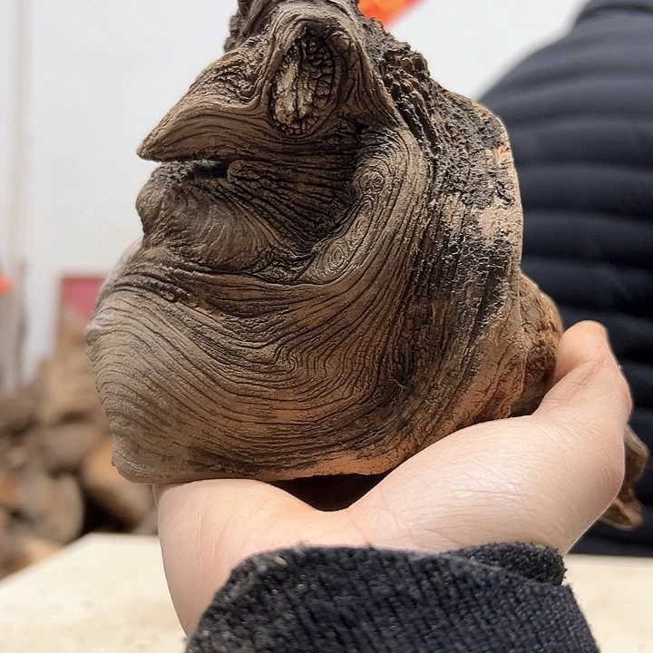 柏木侠*行我们的生活也会