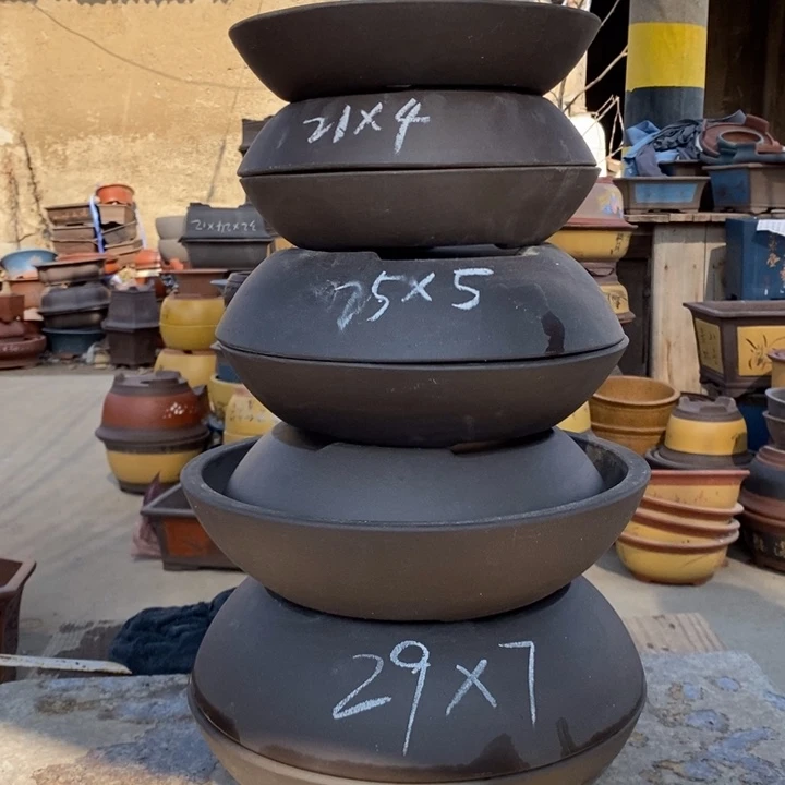 红陶这样我也可以去