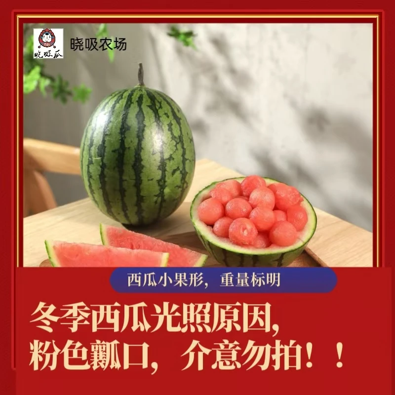 L600小西瓜2粒装1.5斤起新鲜采摘脆甜多汁