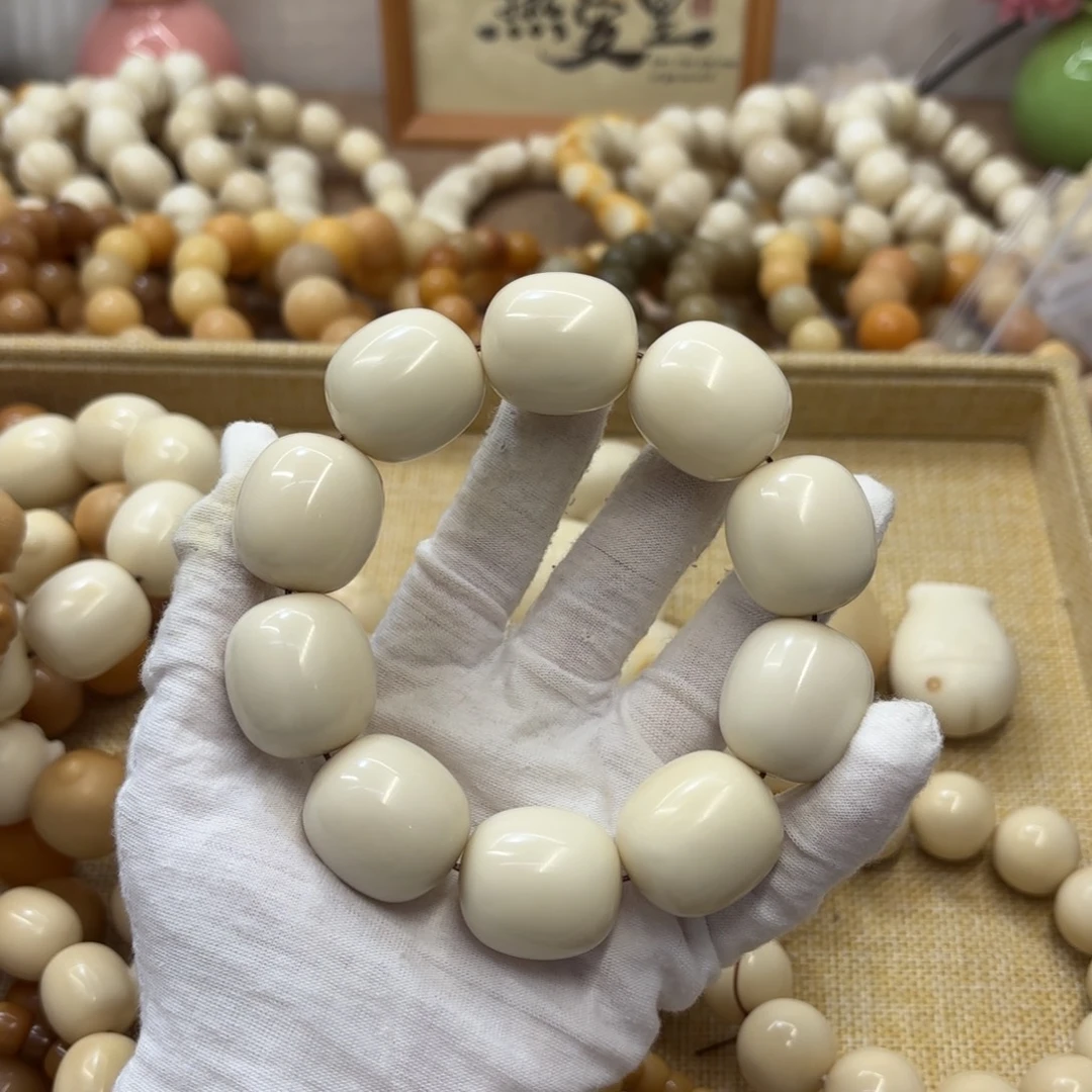 吊坠菩提根/象牙果26干磨瑕疵牙果枣785