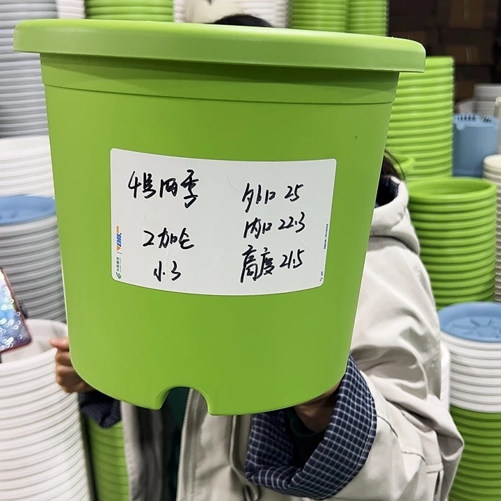 特价4号四季口25高21白色无托8只