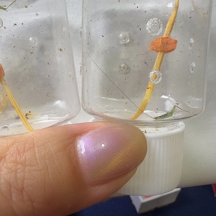 苏***宋哈哈哈哈哈哈哈哈哈