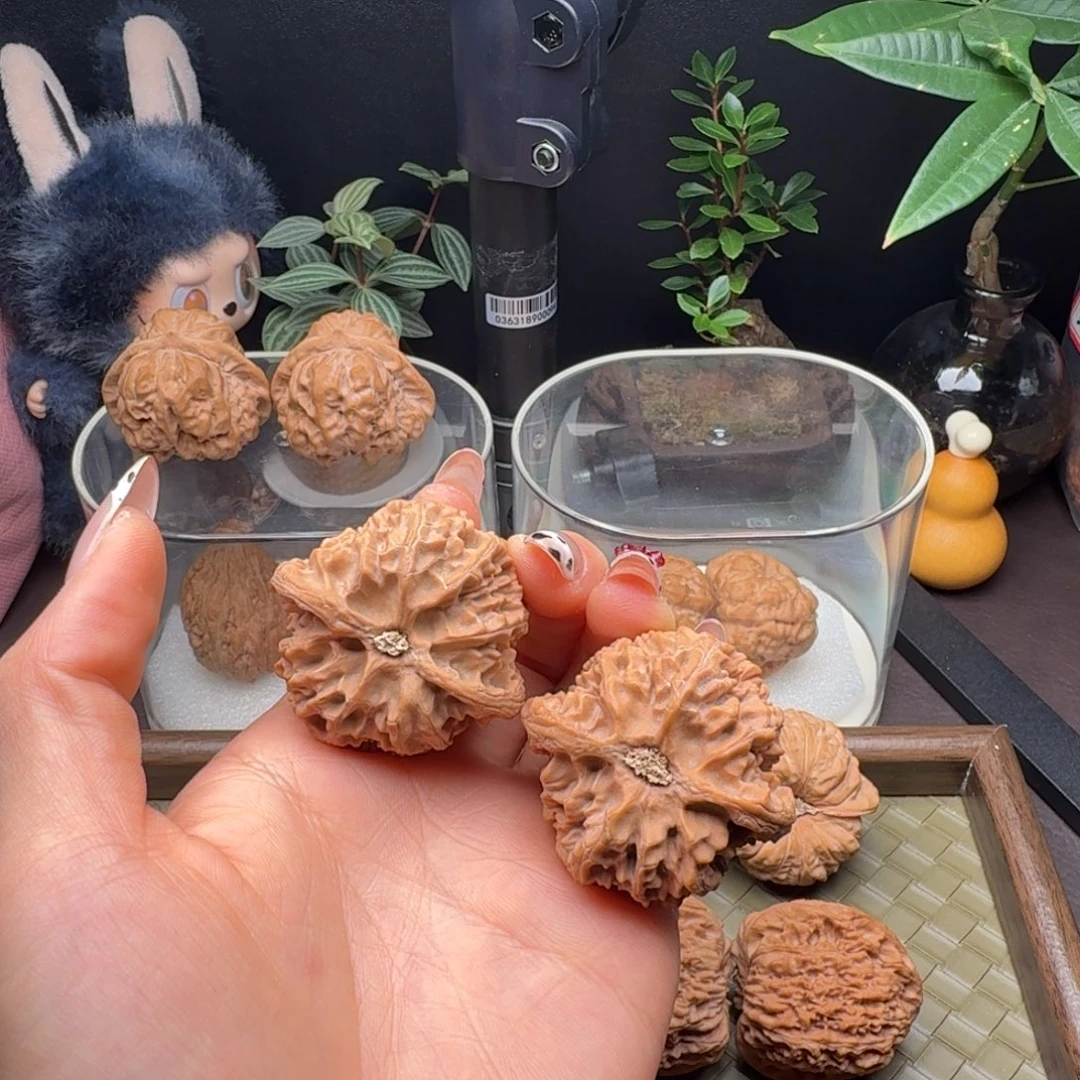 龙脊菩提把件全品苹果园43