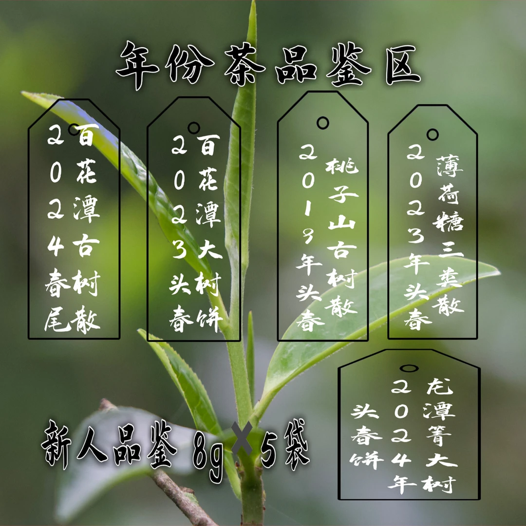 【年份森林普洱生茶 品鉴装】8g✖️5袋(样品不支持退)