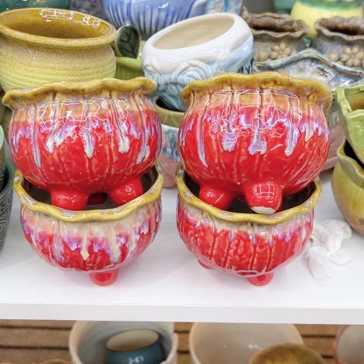 多肉植物花盆9.99包邮