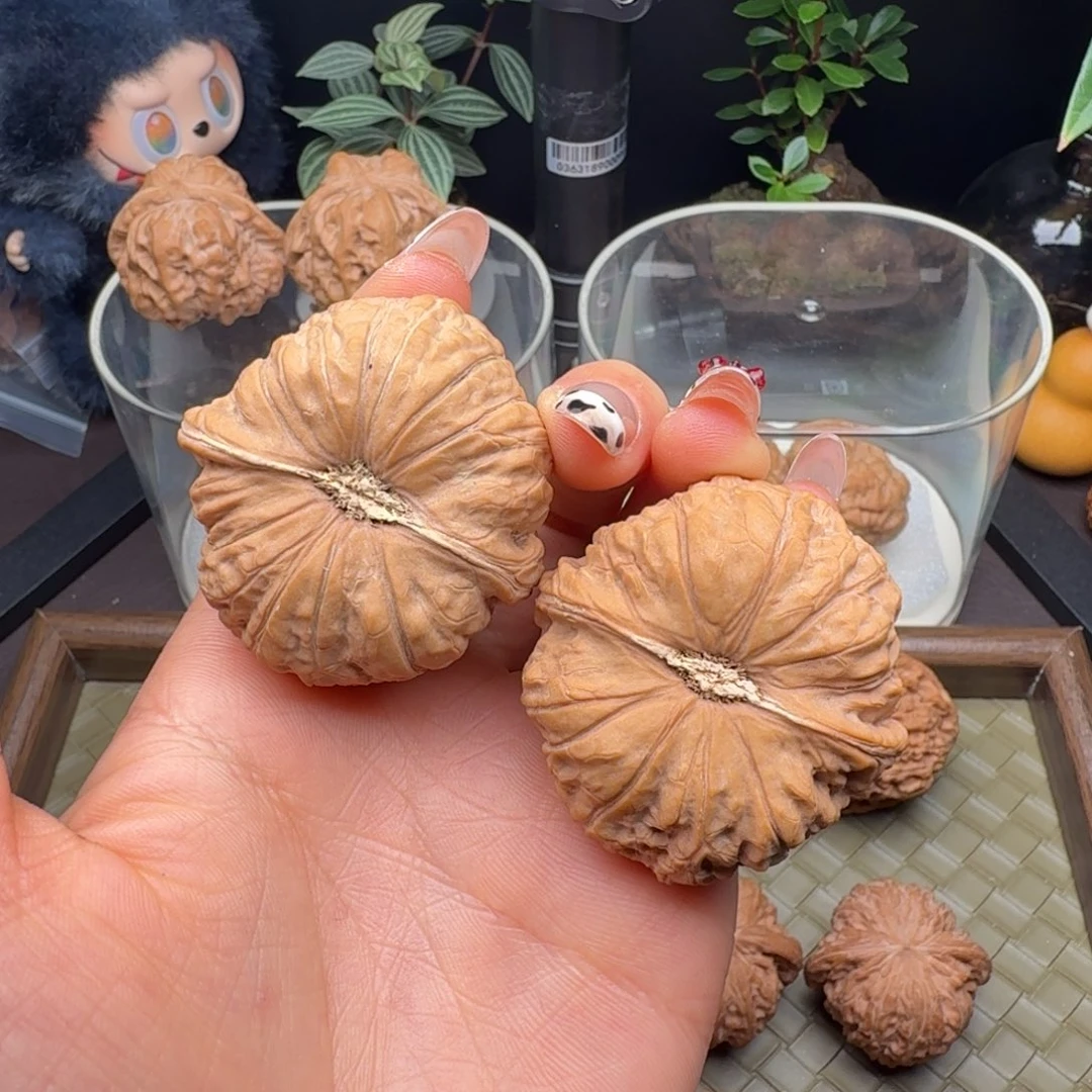 龙脊菩提把件全品南瓜饼44