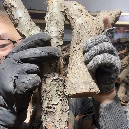 香榧木跳**恼火琉璃的毛料摆件