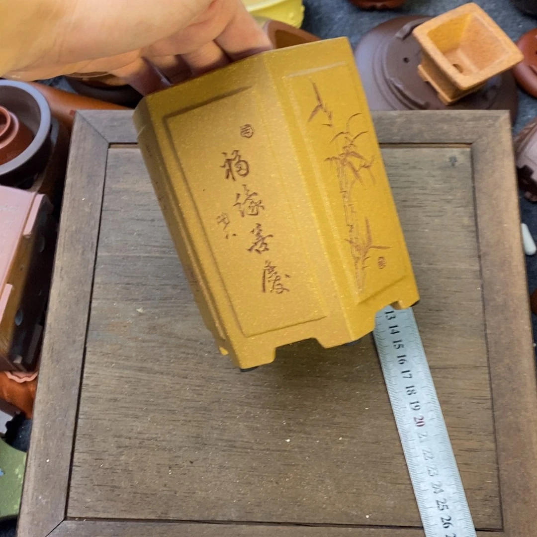 树***静vvvvvvvvvvvvvvvv