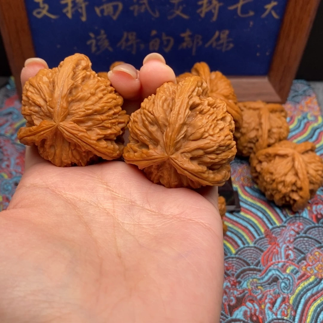 【闪购商品】剃*姑白狮