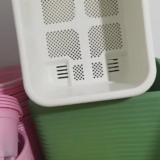 长40颜色随机菜盆带托盘