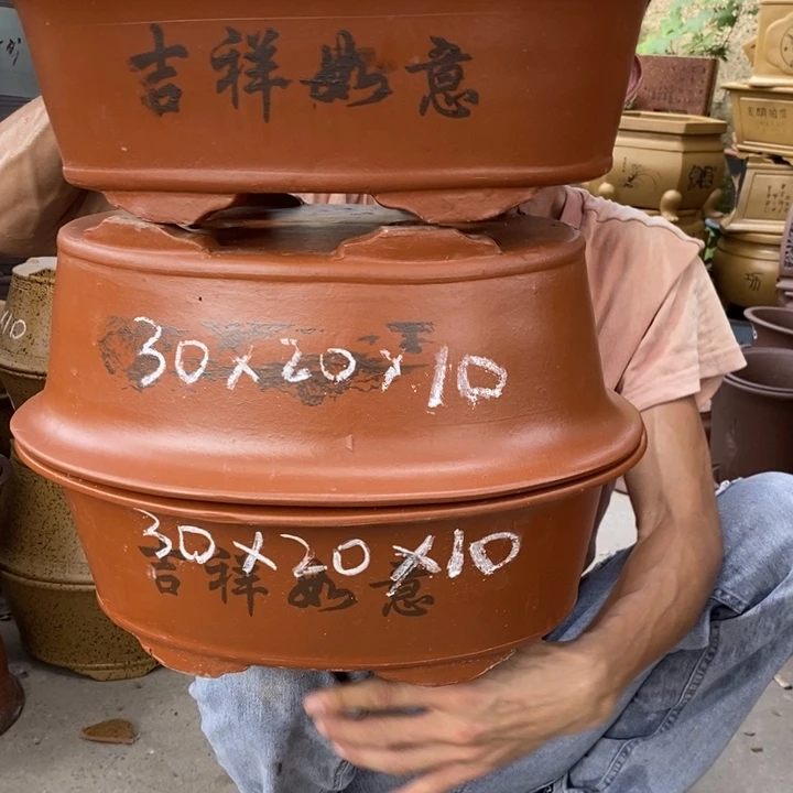 紫砂紫砂紫砂紫砂