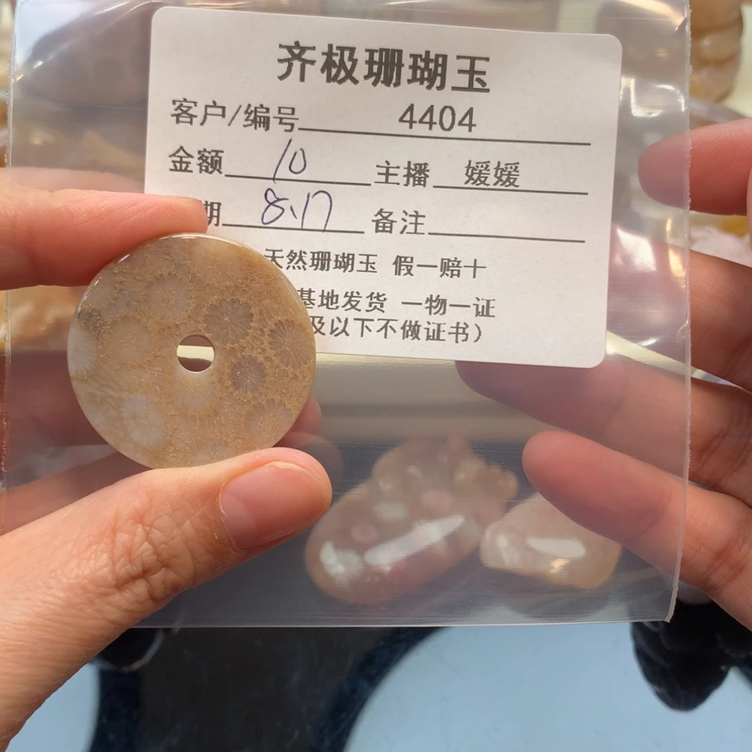 硅化珊瑚（珊瑚玉）未镶嵌颈饰s**.
