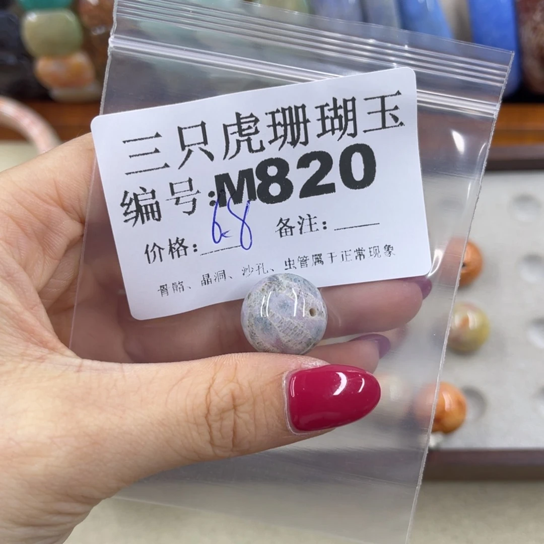 N***9硅化珊瑚（珊瑚玉）h未镶嵌
