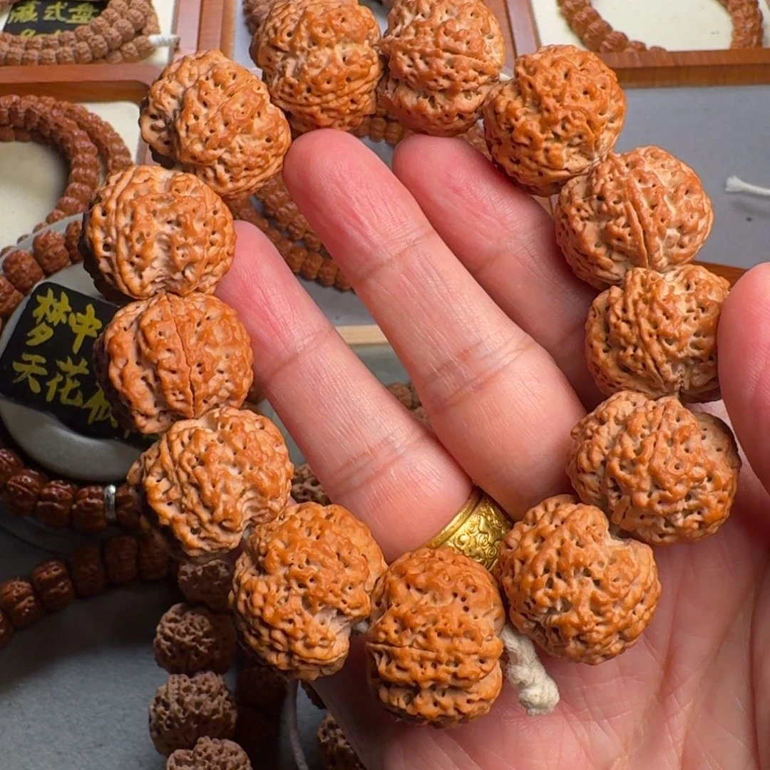 吊坠金刚菩提鳄**生23.5五星双龙纹