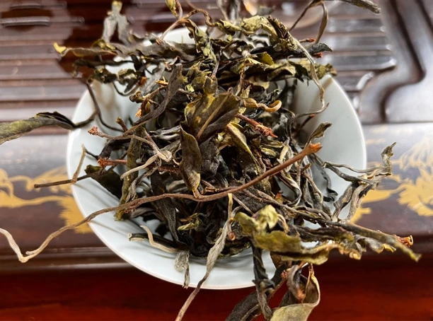 锅底塘 2025年头春头采 散茶 晒青毛茶