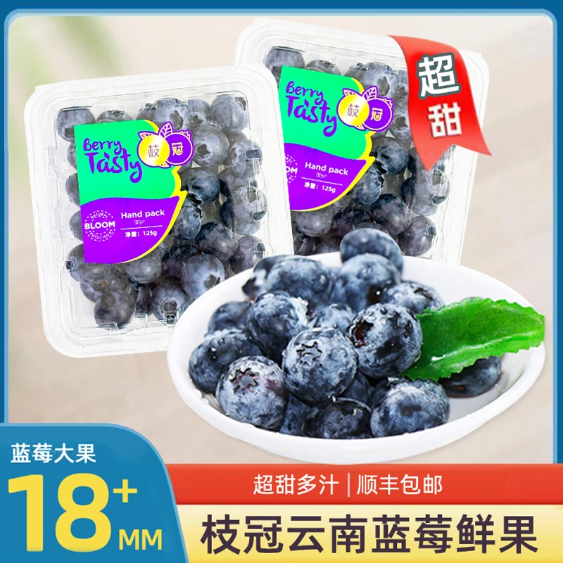 云南枝冠蓝莓鲜果礼盒新鲜孕妇水果蓝莓水果顺丰包邮