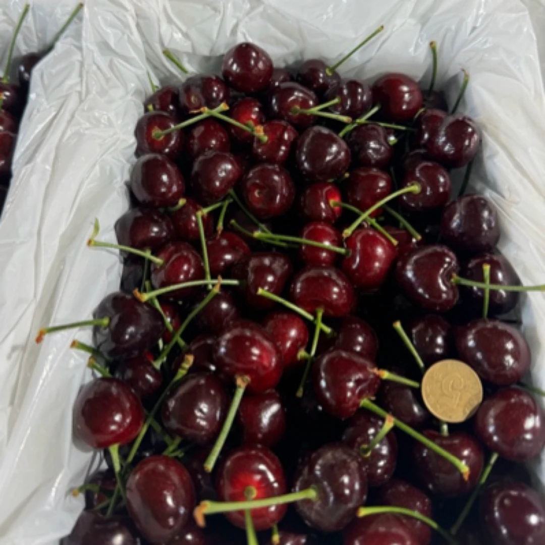 单J小糖豆26mm以下美早樱桃全国京东空运包邮1.8斤 内附果径卡