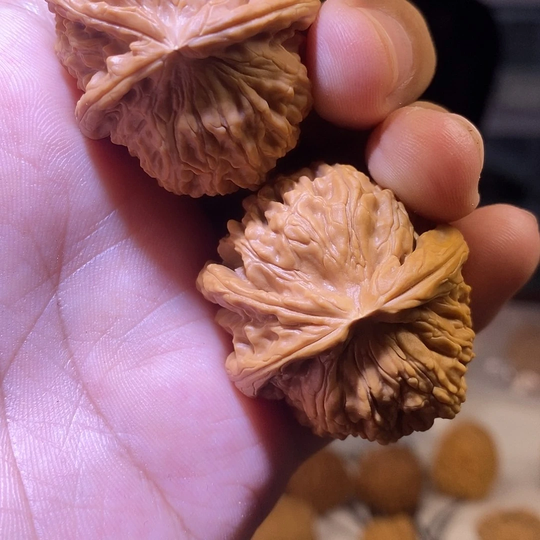 文玩核桃把件白狮子三棱007